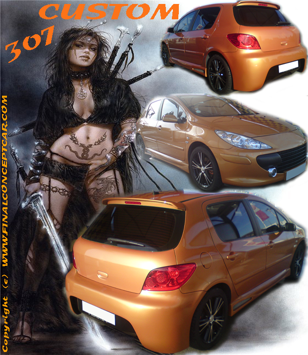 307 Custom Version Fin 2011 / 2012